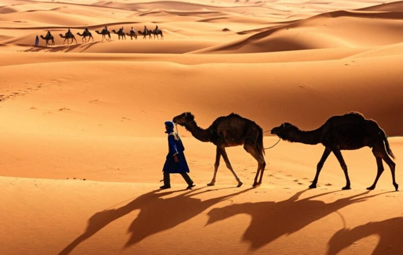 Safari Dans Le Désert De Merzouga De 3 Jours