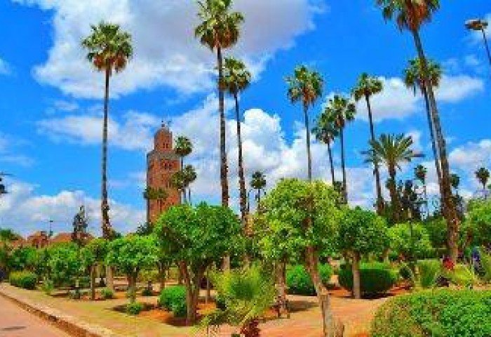 Visite de la ville de Marrakech (demi-journée)